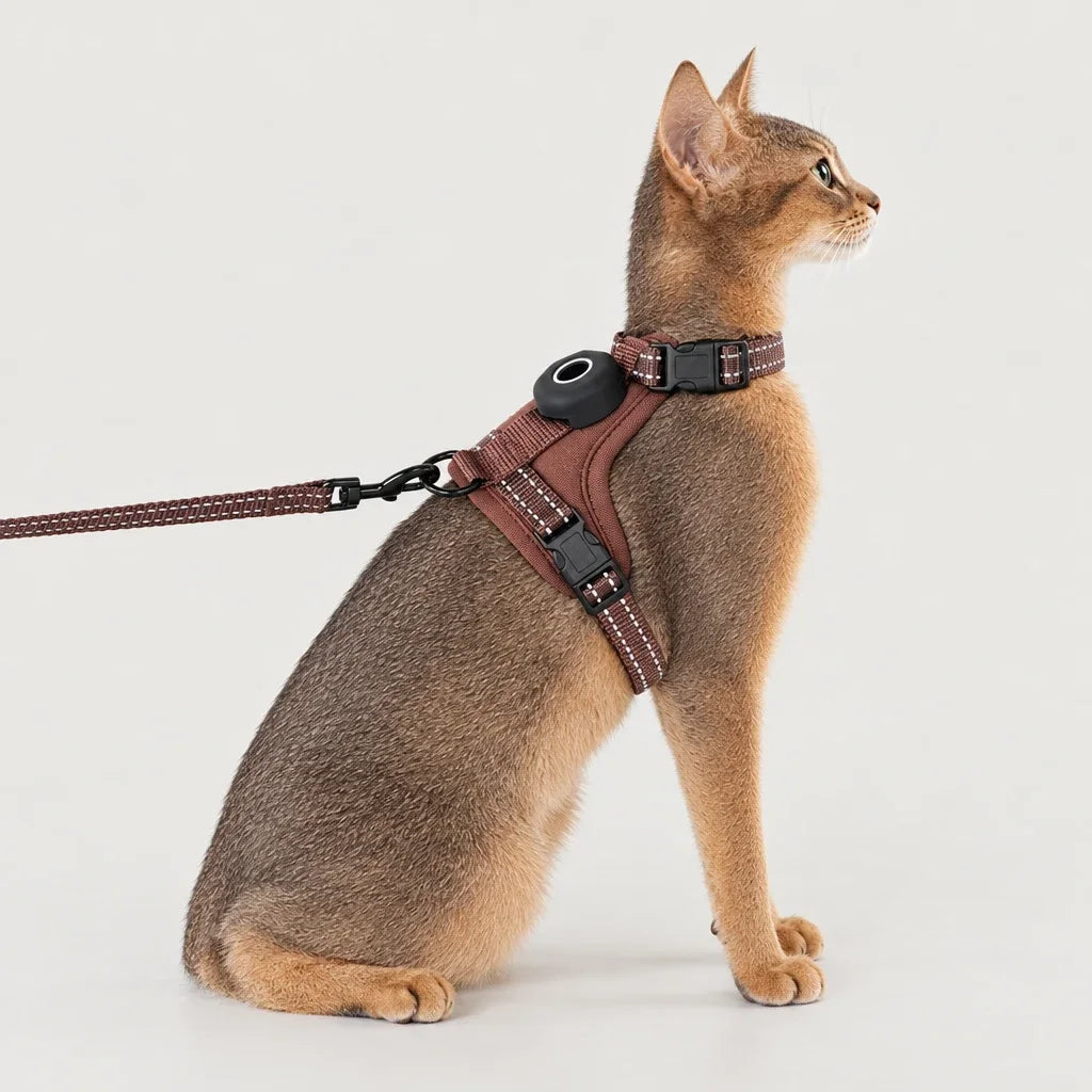 A cat wearing the Petnostic escape-resistant harness in coffee brown, with the matching leash attached